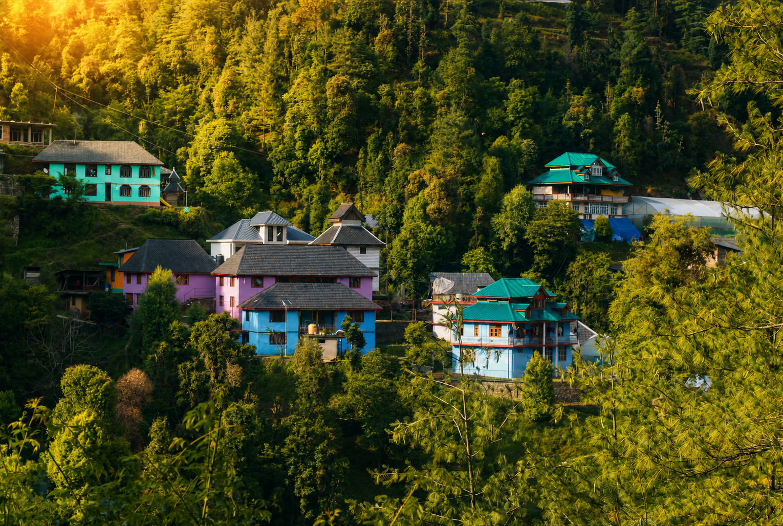 Janjehli , Mandi Himachal Pradesh